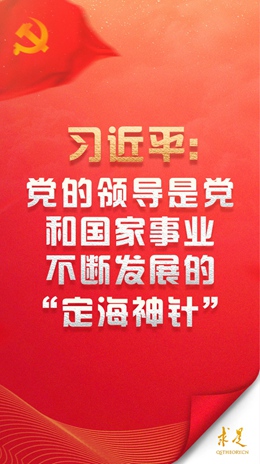 習(xí)近平：黨的領(lǐng)導(dǎo)是黨和國(guó)家事業(yè)不斷發(fā)展的“定海神針”